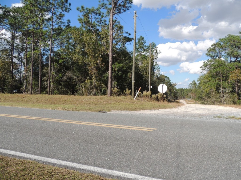 14695 SE 30th Street Morriston FL 32668 OM668117 image1