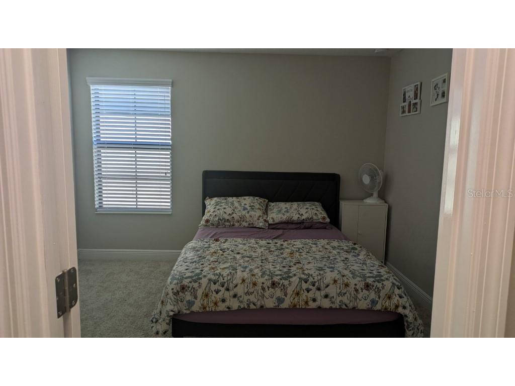 14698 Horse Trot Road Lithia FL 33547 TB8469514 image11