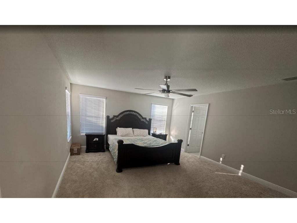 14698 Horse Trot Road Lithia FL 33547 TB8469514 image7