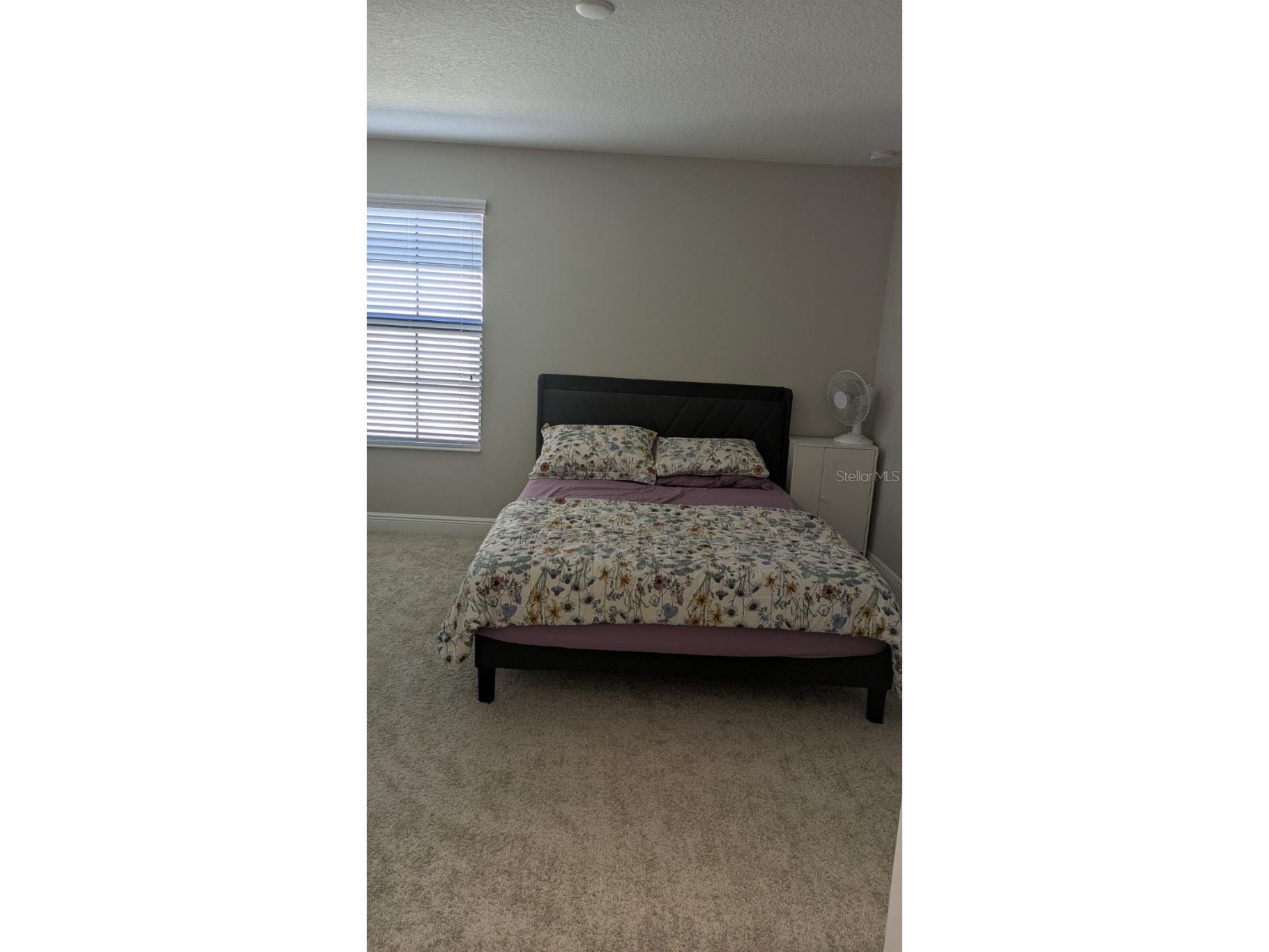 14698 Horse Trot Road Lithia FL 33547 TB8469514 image8