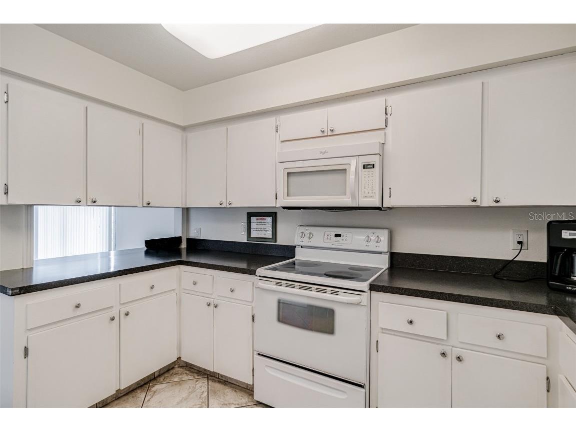 147 Bluff View Drive #206 Belleair Bluffs FL 33770 TB8367882 image42