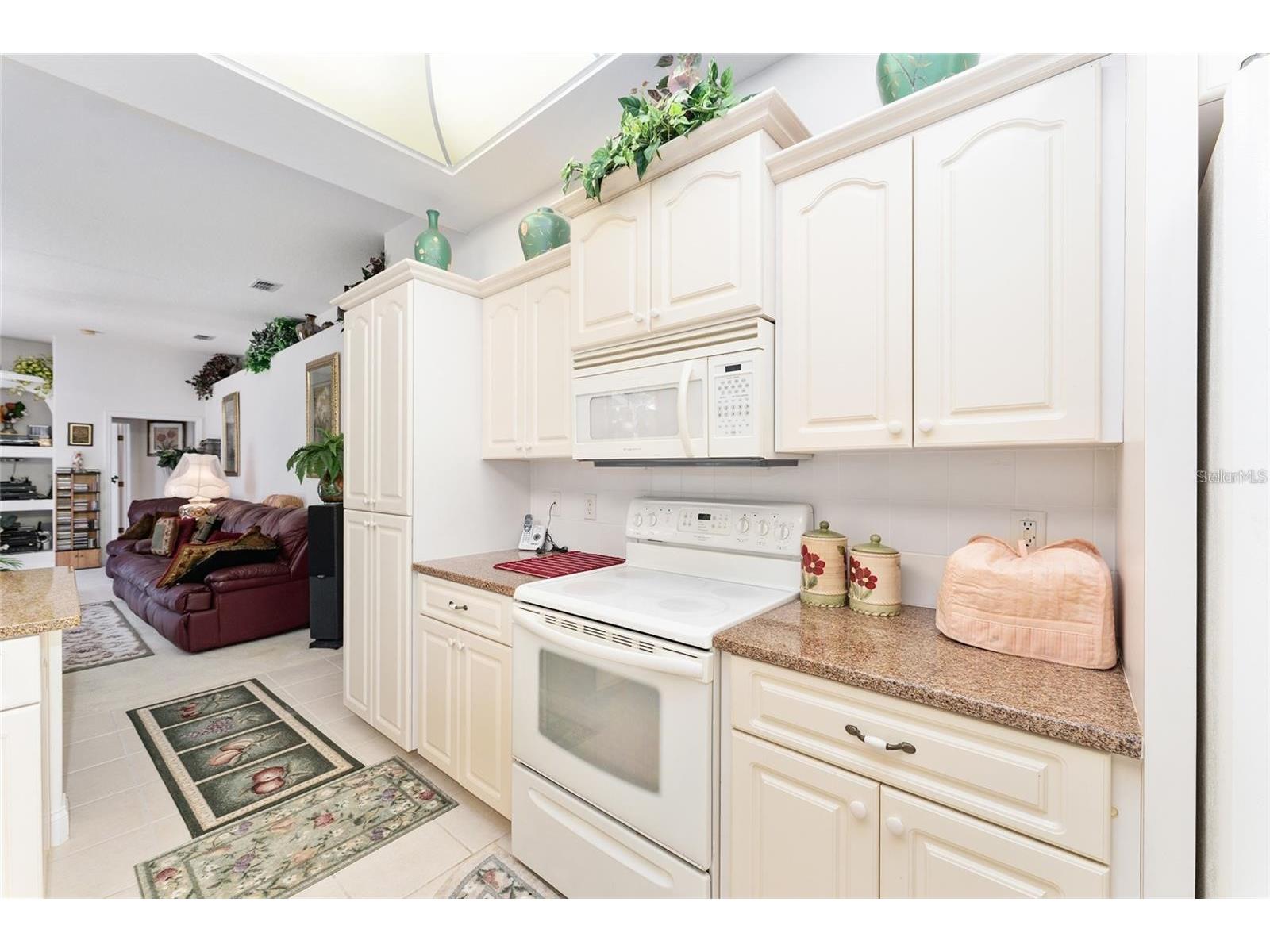 147 Corkwood Boulevard Homosassa FL 34446 OM718705 image24