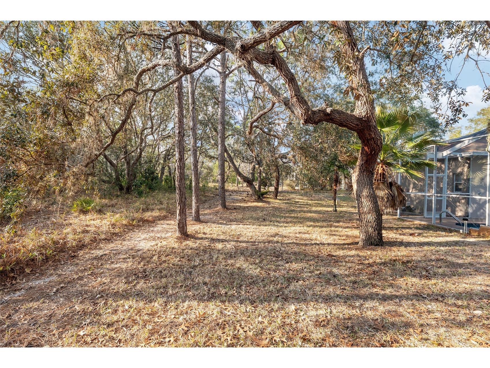 147 Corkwood Boulevard Homosassa FL 34446 OM718705 image80