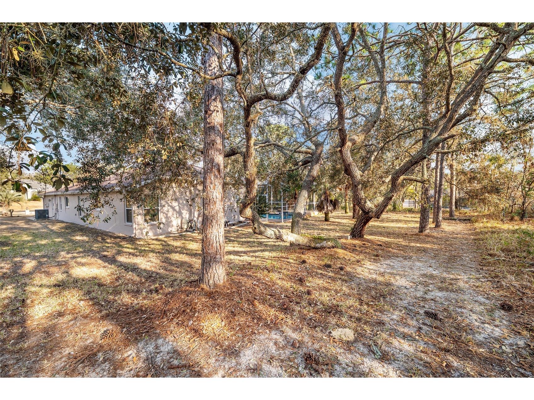 147 Corkwood Boulevard Homosassa FL 34446 OM718705 image81