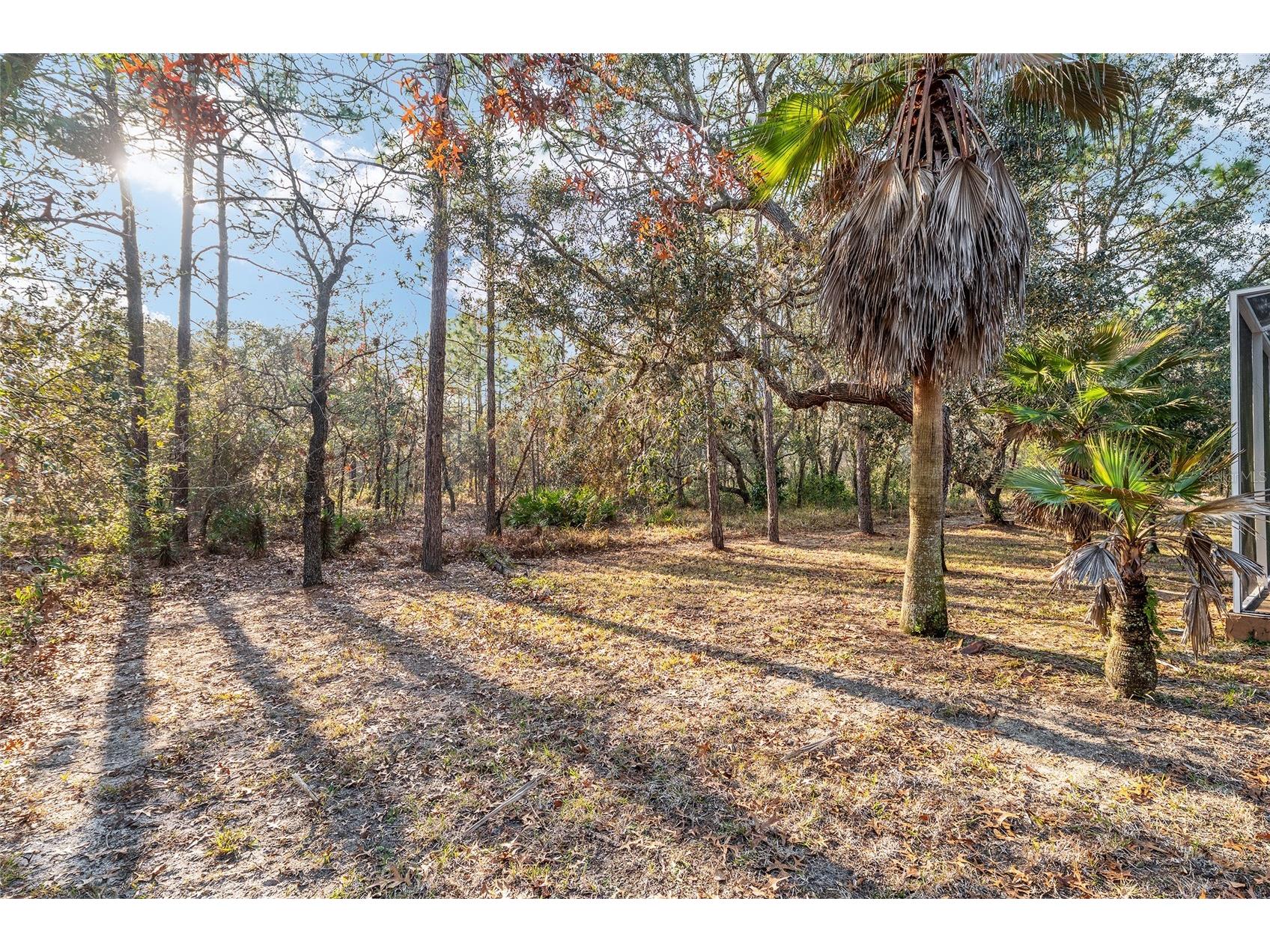147 Corkwood Boulevard Homosassa FL 34446 OM718705 image83