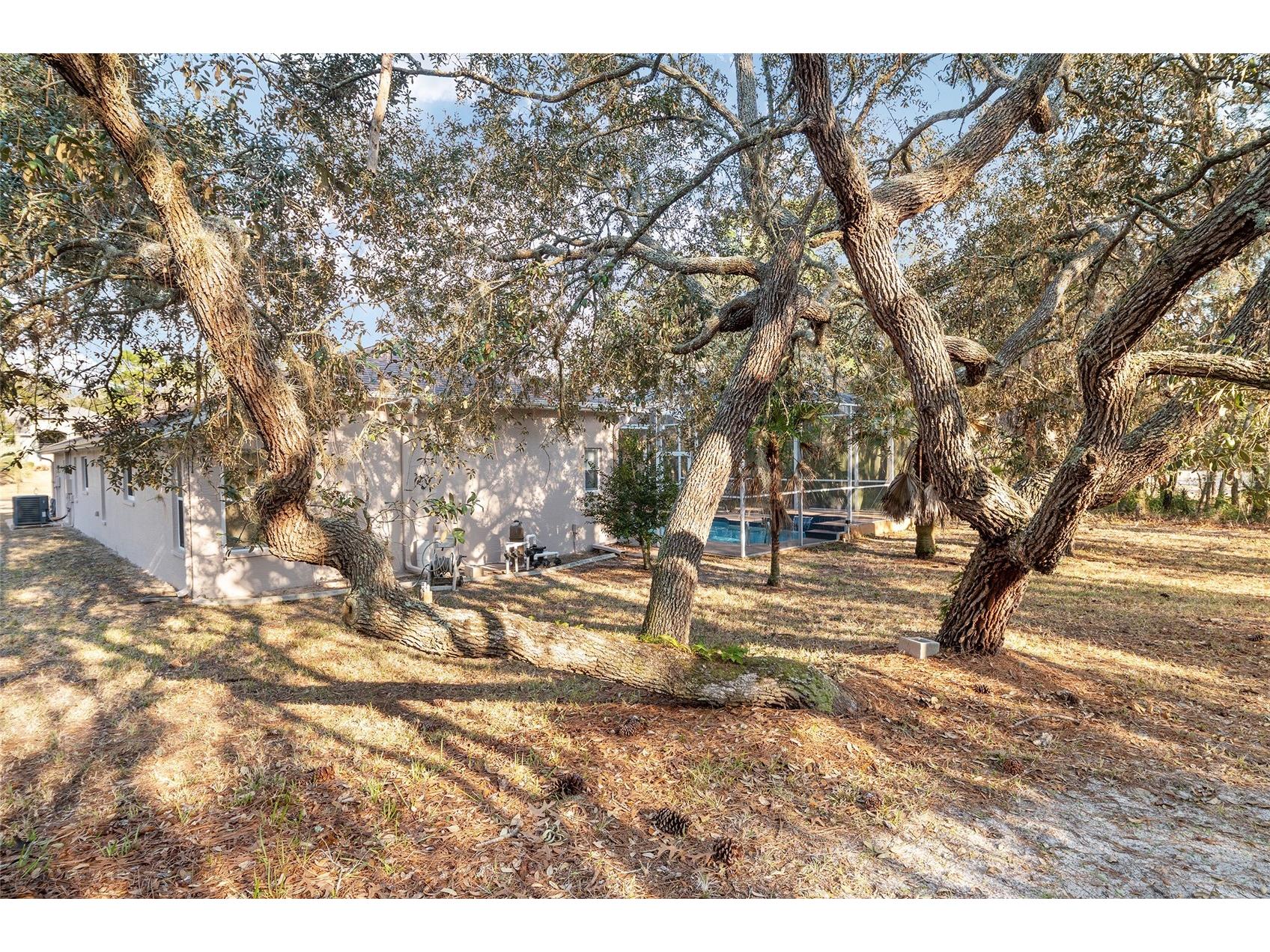 147 Corkwood Boulevard Homosassa FL 34446 OM718705 image88