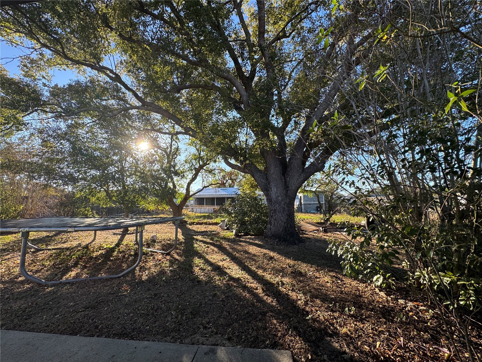 147 Evergreen Drive Lake Wales FL 33898 P4937575 image21