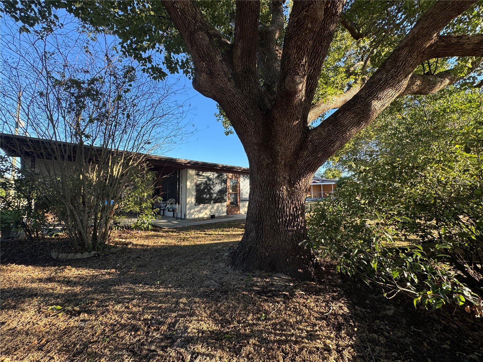 147 Evergreen Drive Lake Wales FL 33898 P4937575 image22