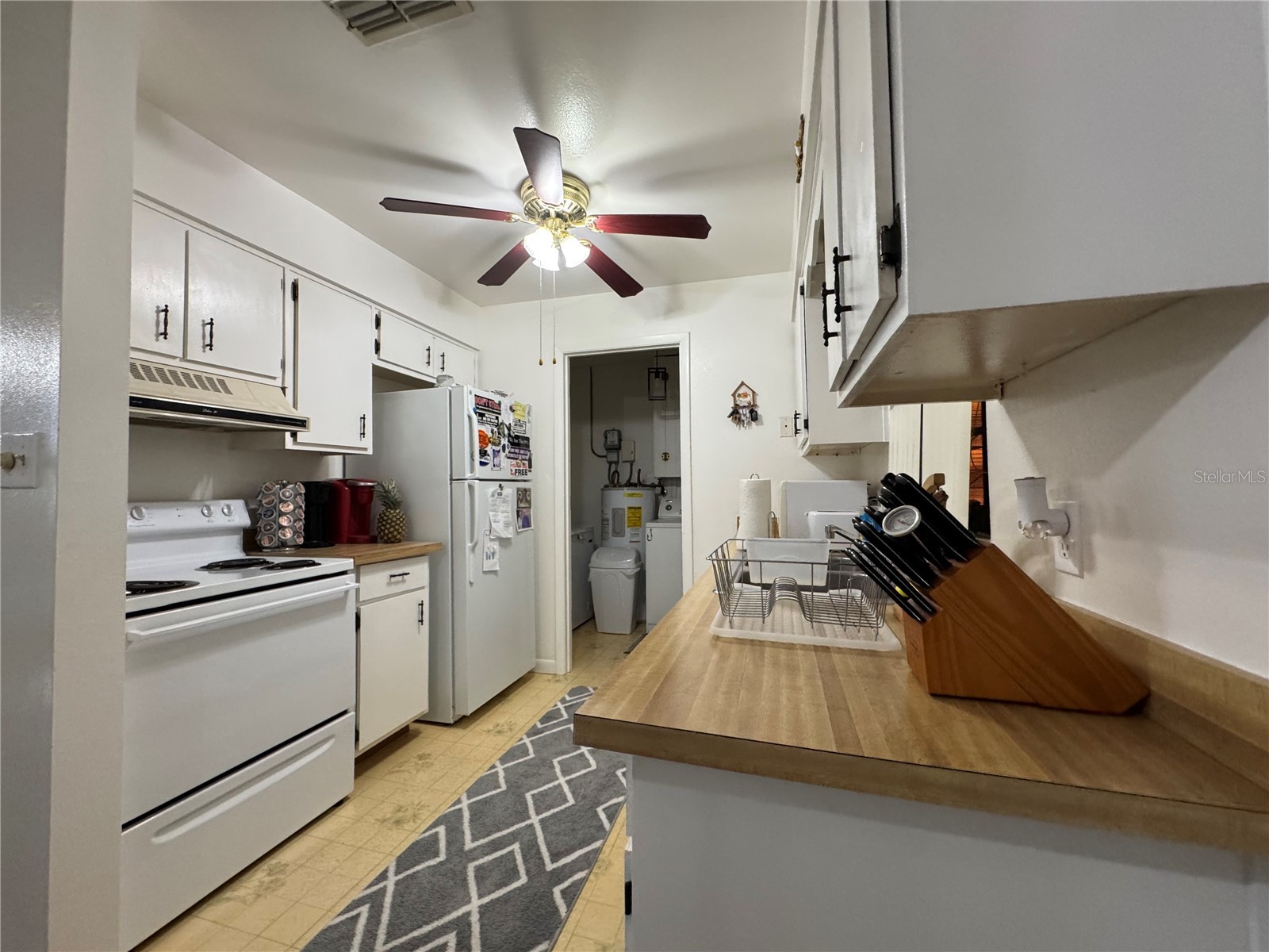 147 Evergreen Drive Lake Wales FL 33898 P4937575 image8