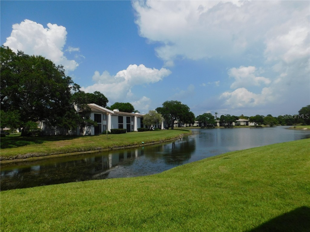 147 Lakeside Drive Oldsmar FL 34677 U8245965 image1