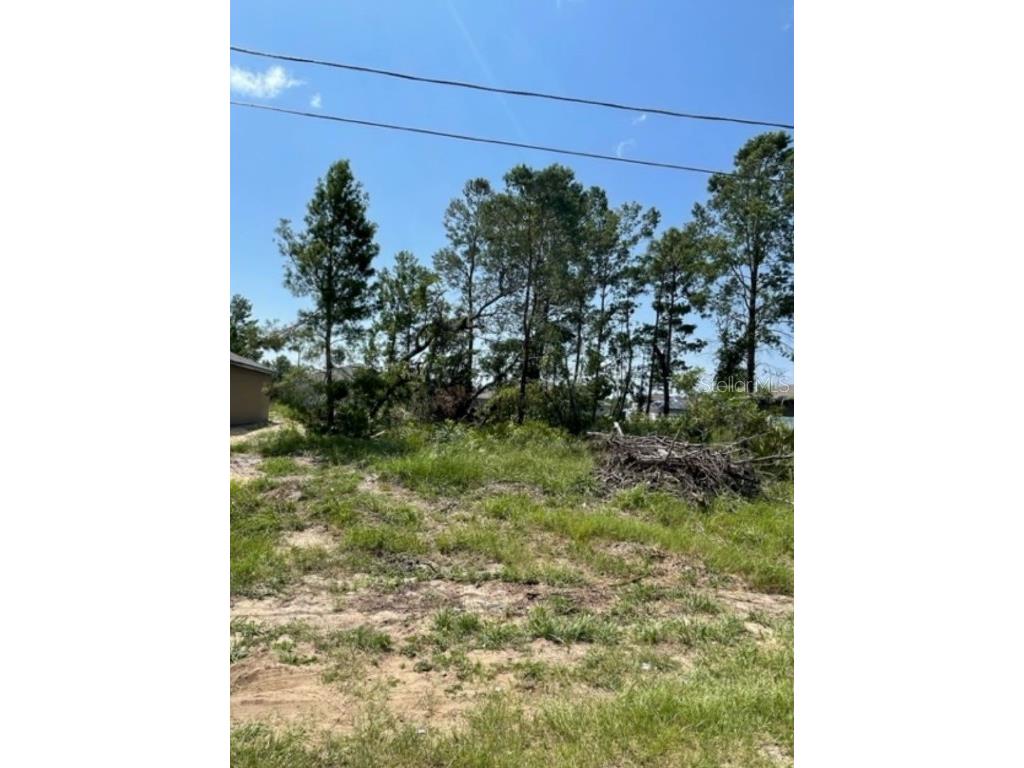 147 Maple Dr. Poinciana FL 34759 O6137380 image1