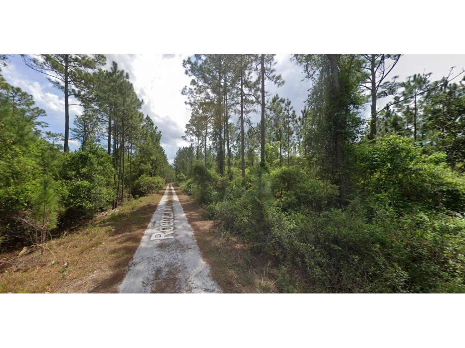 147 Roebuck Street Georgetown FL 32139 OK225312 image10