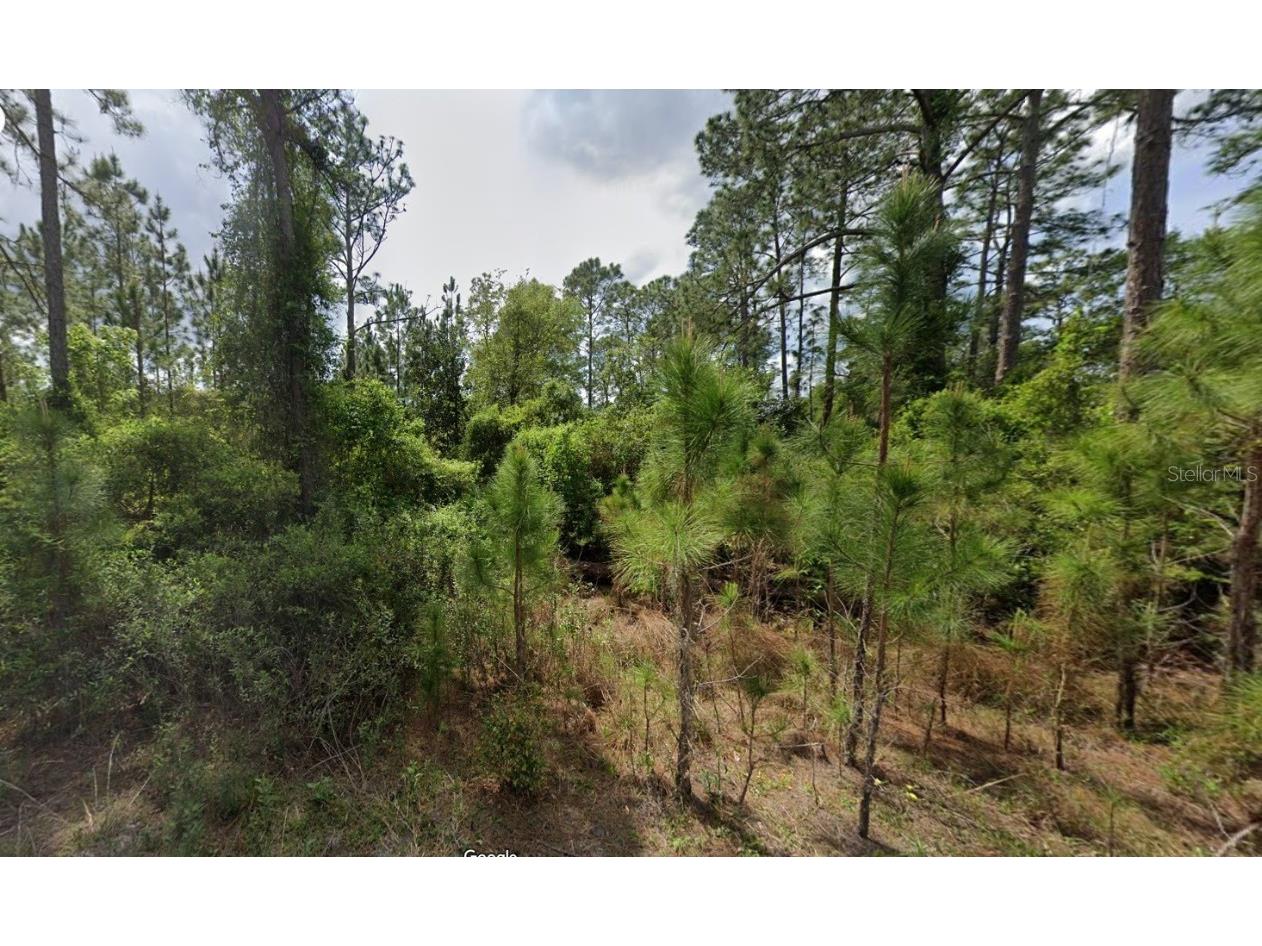 147 Roebuck Street Georgetown FL 32139 OK225312 image11