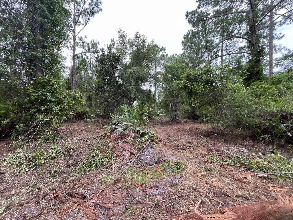 147 Roebuck Street Georgetown FL 32139 OK225312 image2