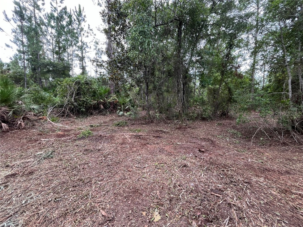 147 Roebuck Street Georgetown FL 32139 OK225312 image4