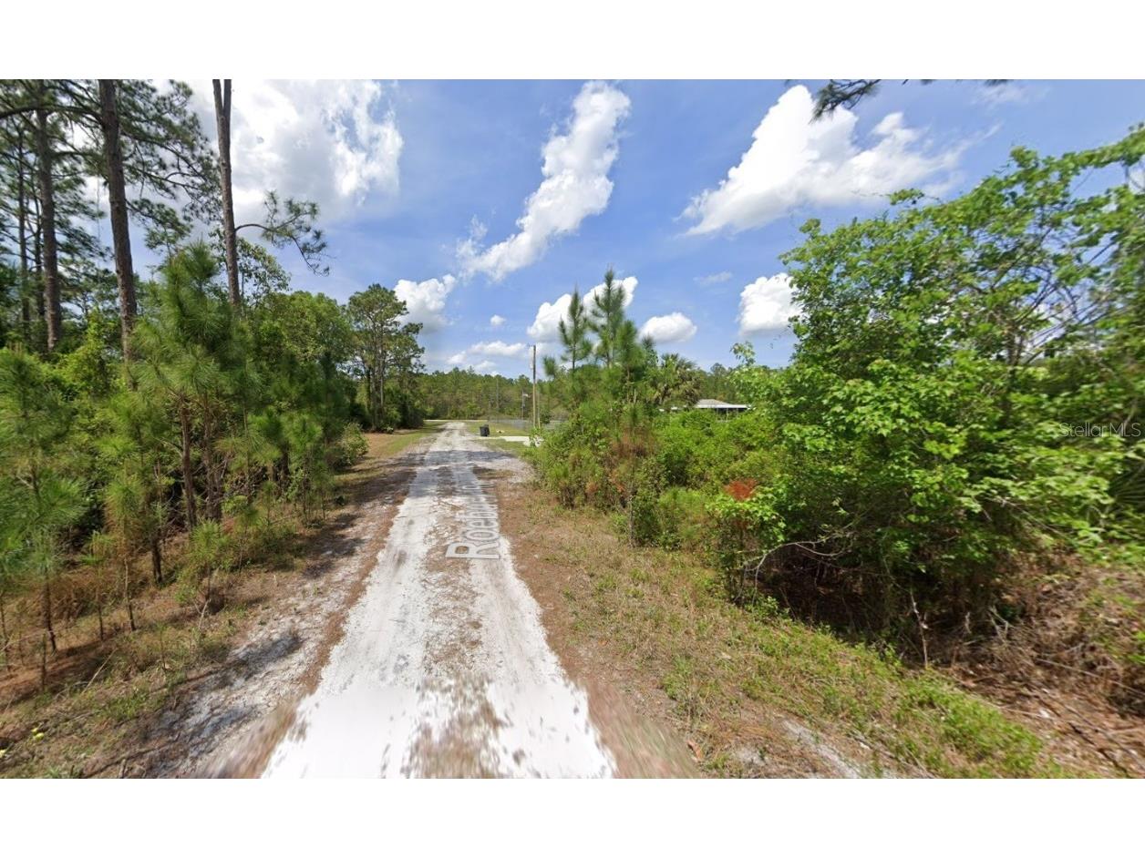 147 Roebuck Street Georgetown FL 32139 OK225312 image9