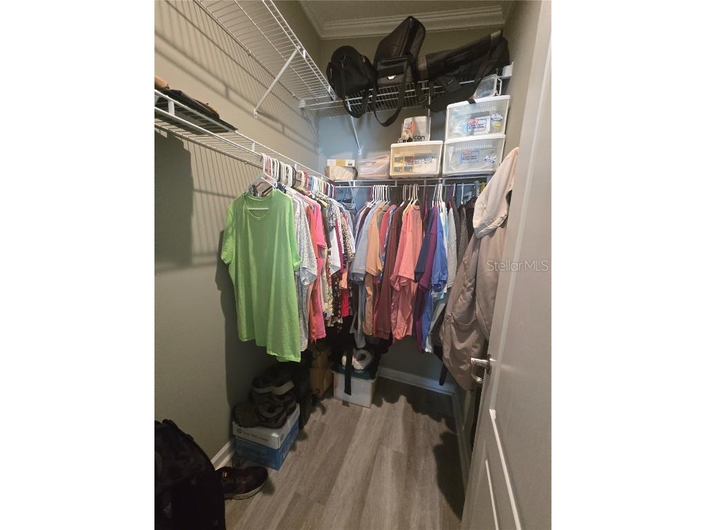 147 Royal Palm Drive Leesburg FL 34748 OM706998 image11