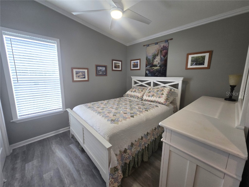 147 Royal Palm Drive Leesburg FL 34748 OM706998 image12