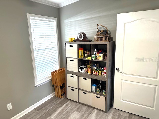 147 Royal Palm Drive Leesburg FL 34748 OM706998 image13