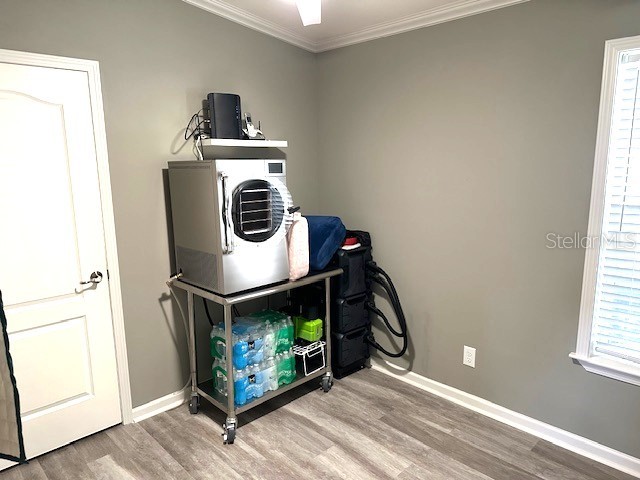 147 Royal Palm Drive Leesburg FL 34748 OM706998 image16