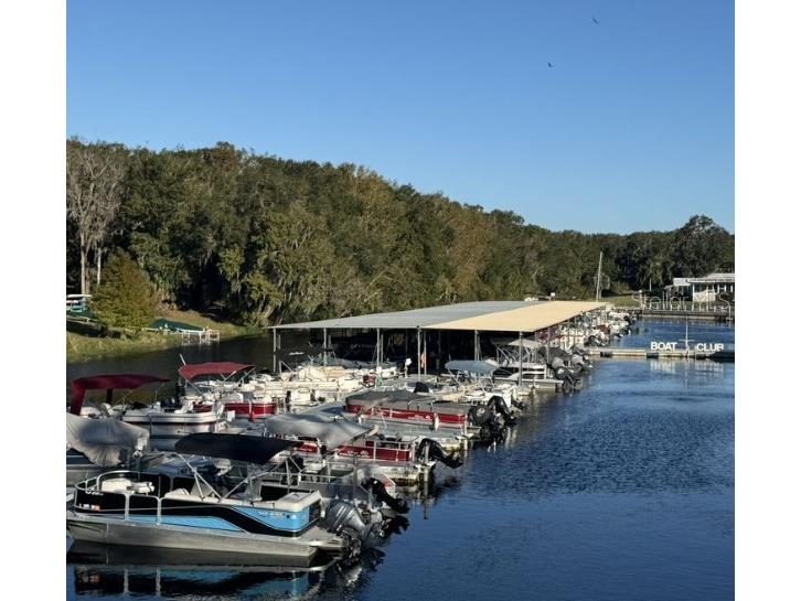 147 Royal Palm Drive Leesburg FL 34748 OM706998 image25