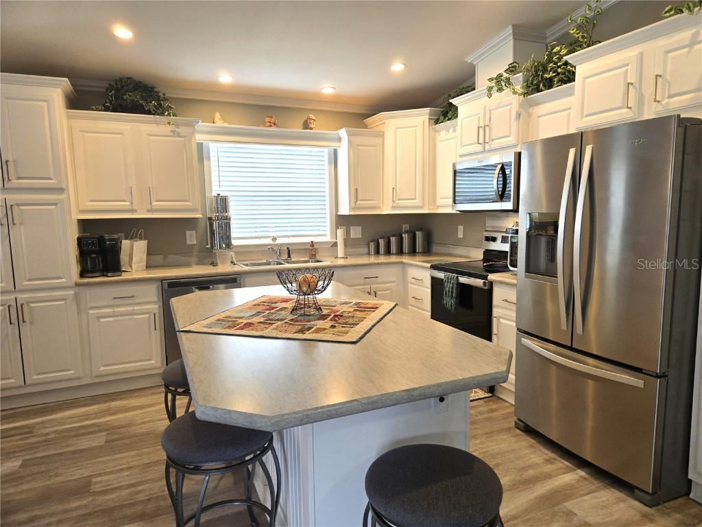 147 Royal Palm Drive Leesburg FL 34748 OM706998 image7