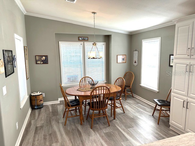 147 Royal Palm Drive Leesburg FL 34748 OM706998 image8