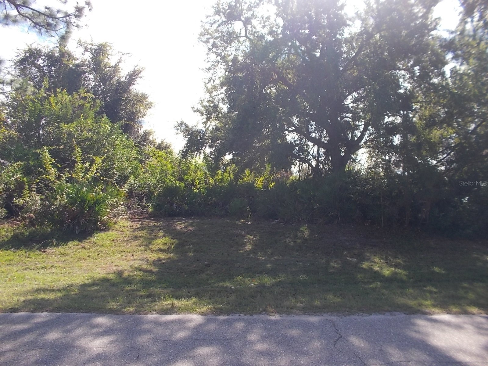 147 Yellow Pine Drive Rotonda West FL 33947 C7519551 image3