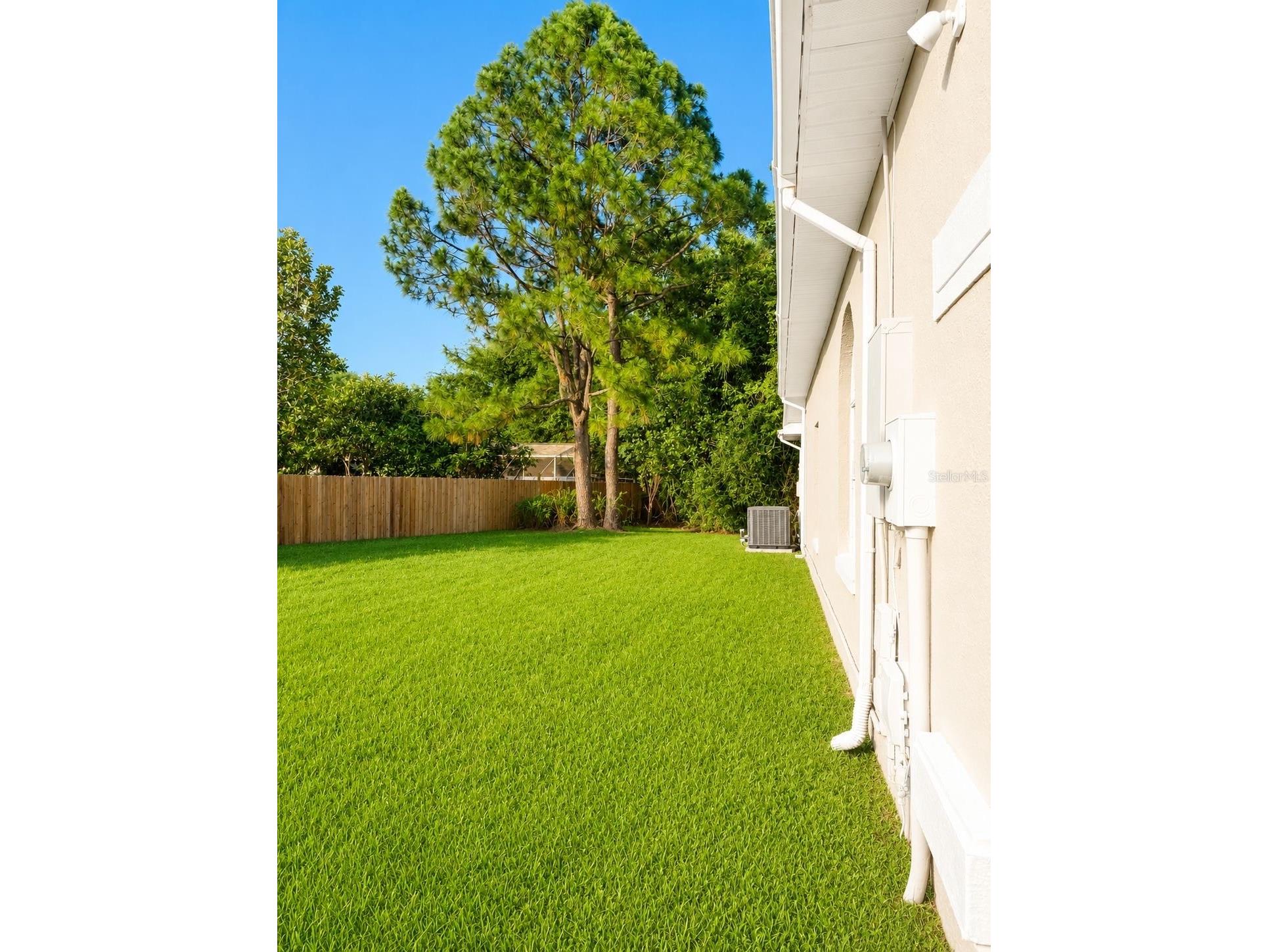 14701 Madonna Lily Court Orlando FL 32824 O6405569 image5