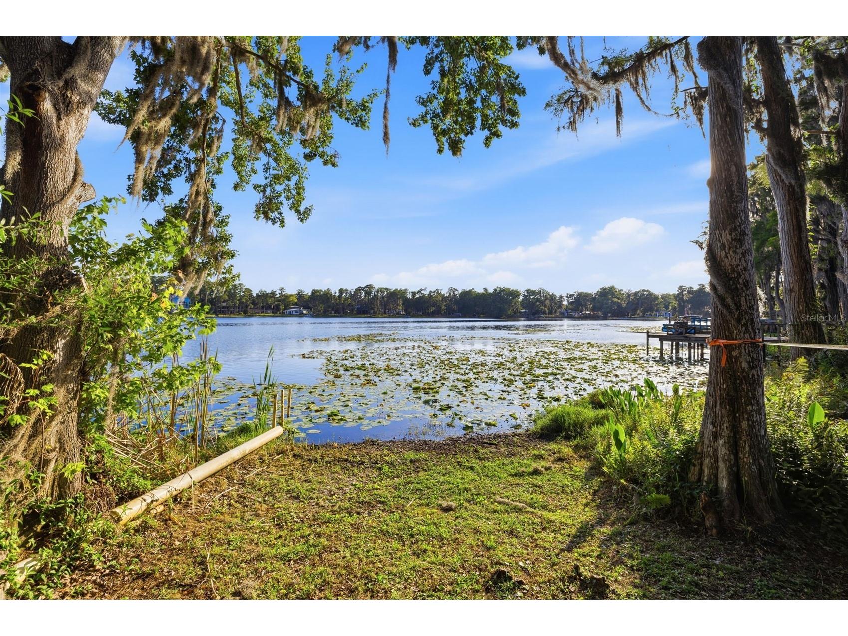 14702 Bluestone Lane Odessa FL 33556 TB8505084 image38