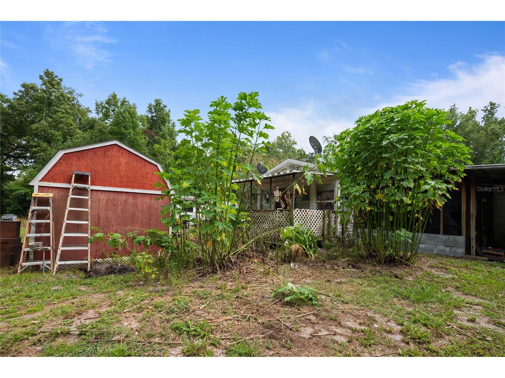 14702 Cr 719 Webster FL 33597 G5114323 image19