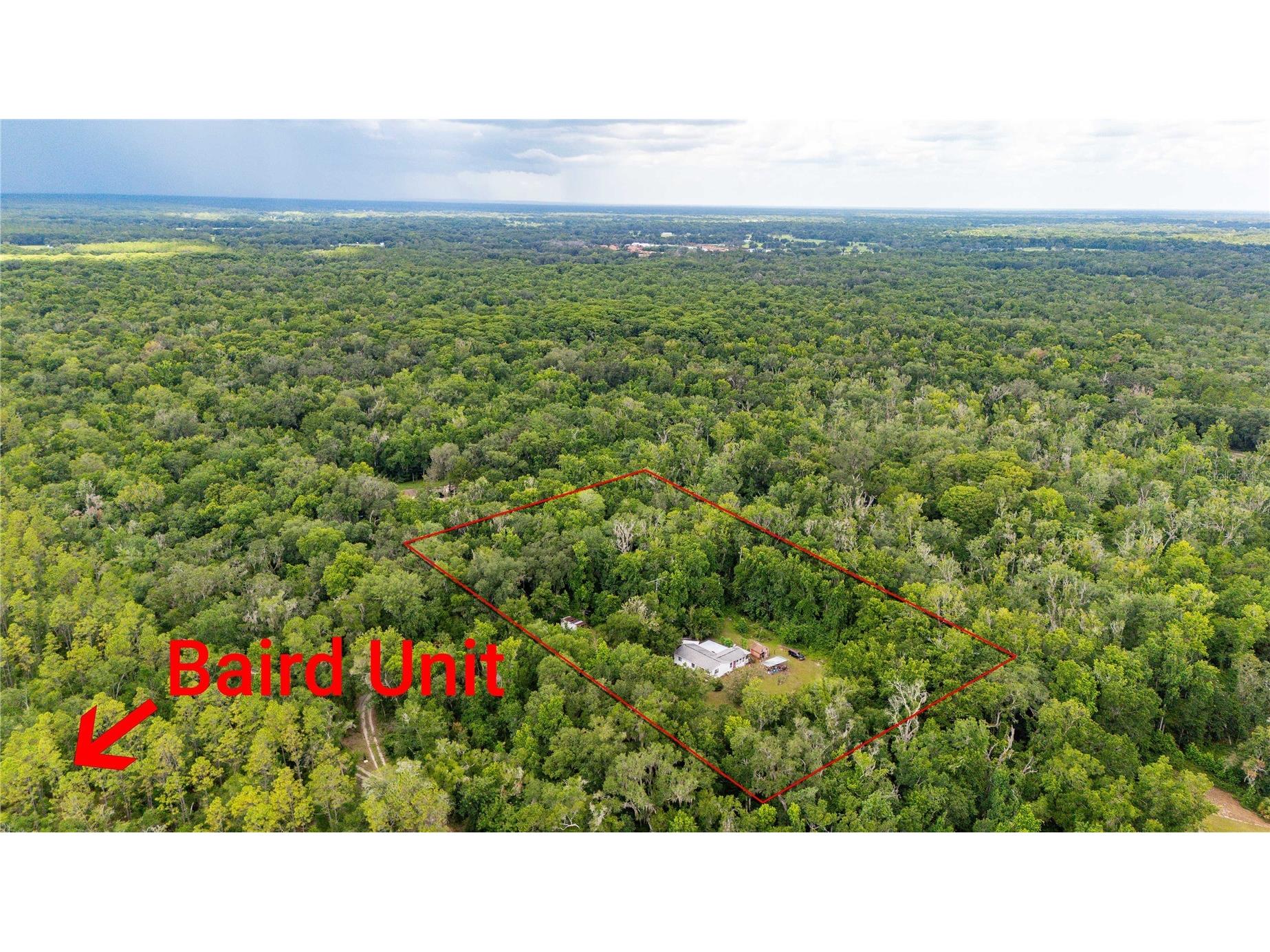 14702 Cr 719 Webster FL 33597 G5114323 image20