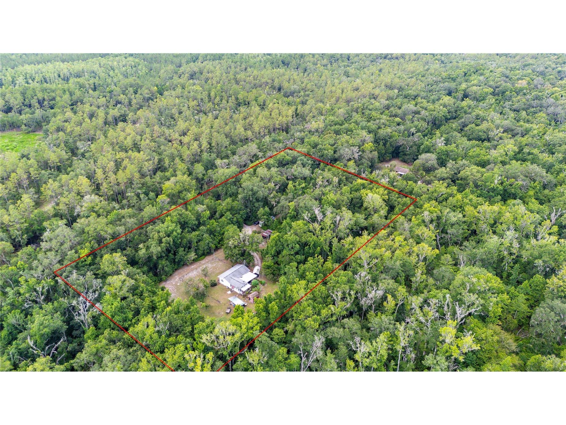 14702 Cr 719 Webster FL 33597 G5114323 image24