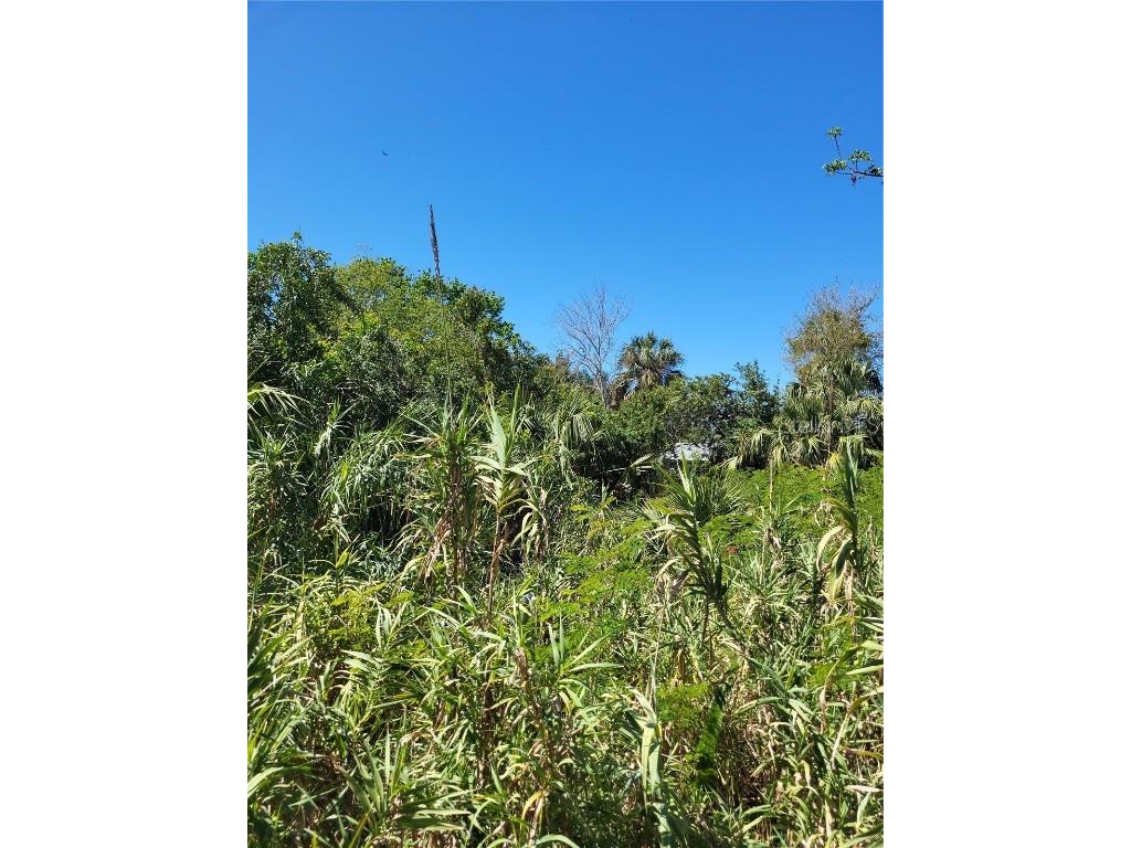 14703 Kingfish Lane Hudson FL 34667 W7873466 image1