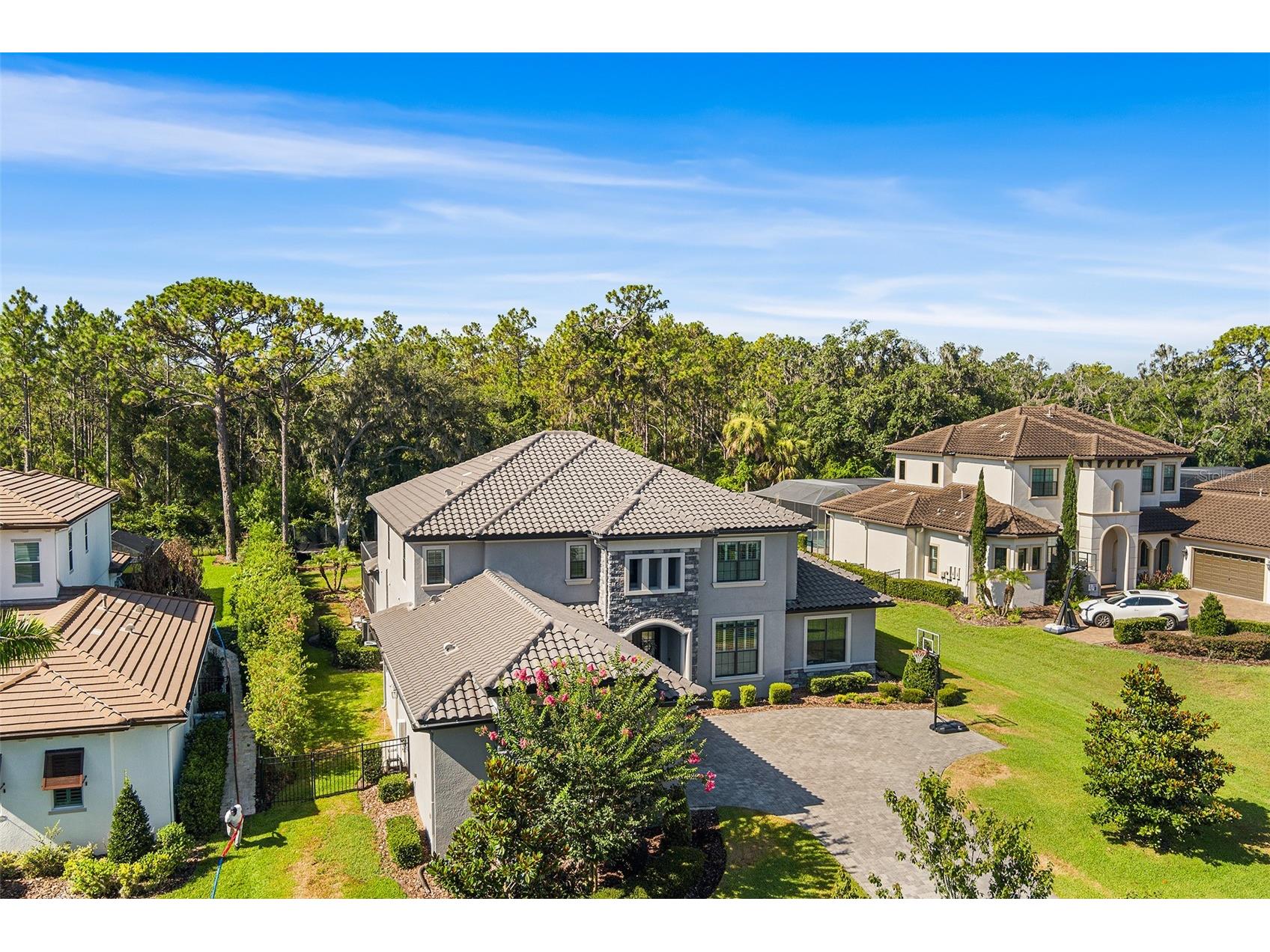 14704 Fishhawk Preserve Drive Lithia FL 33547 TB8522645 image64
