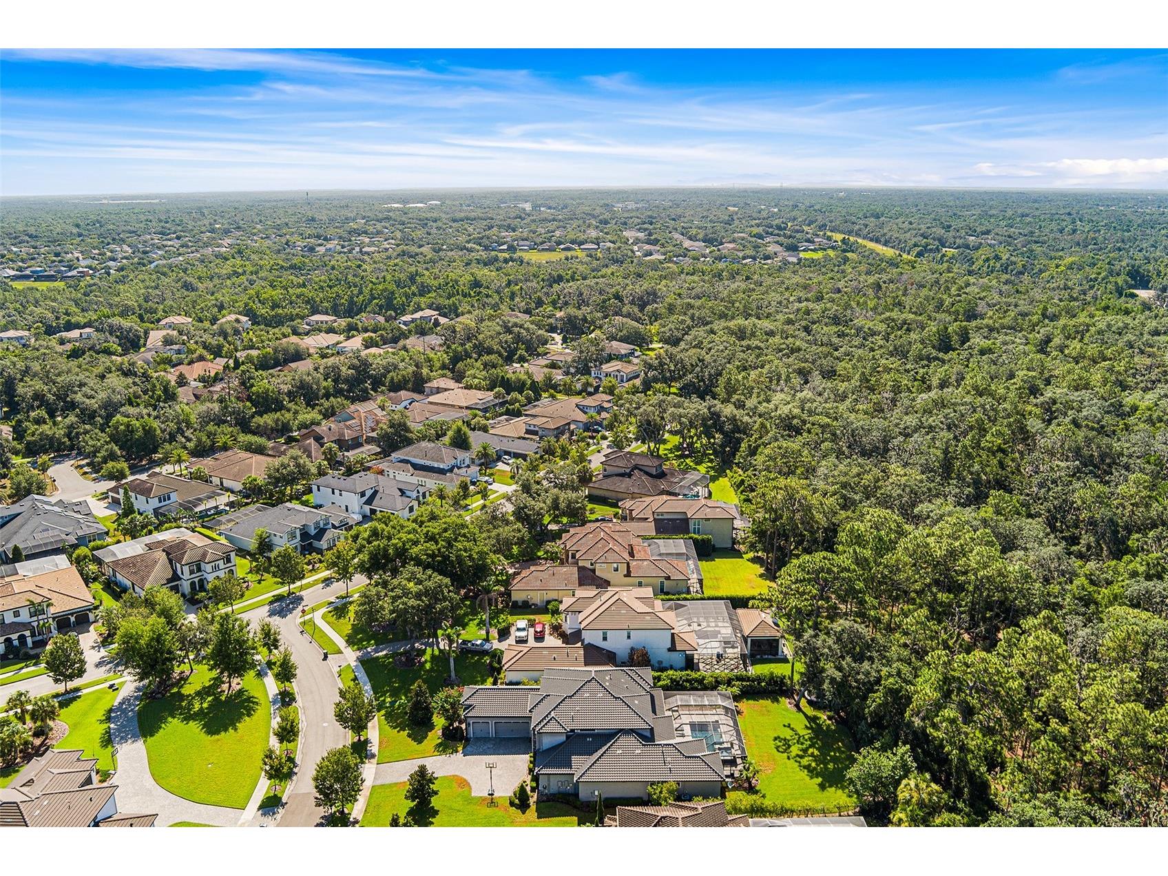 14704 Fishhawk Preserve Drive Lithia FL 33547 TB8522645 image65