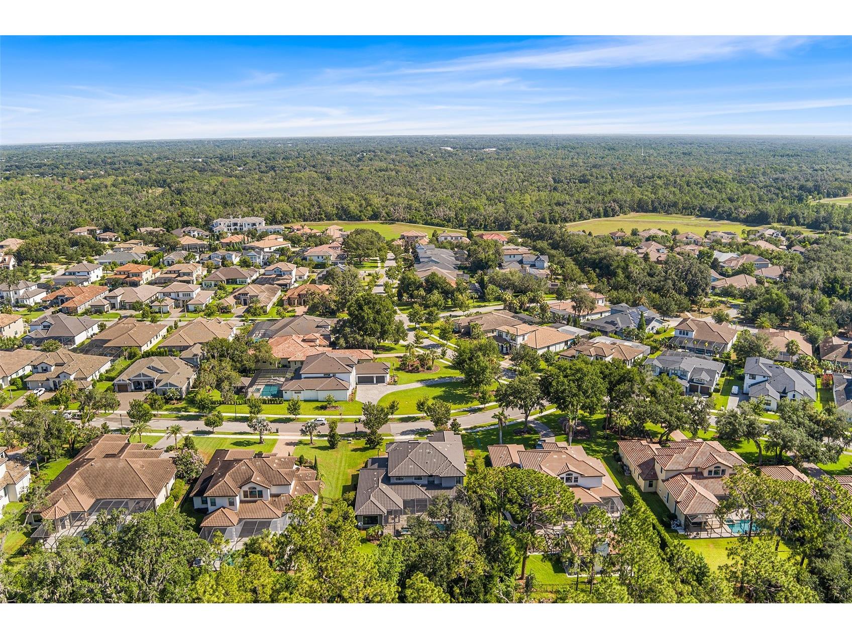 14704 Fishhawk Preserve Drive Lithia FL 33547 TB8522645 image66