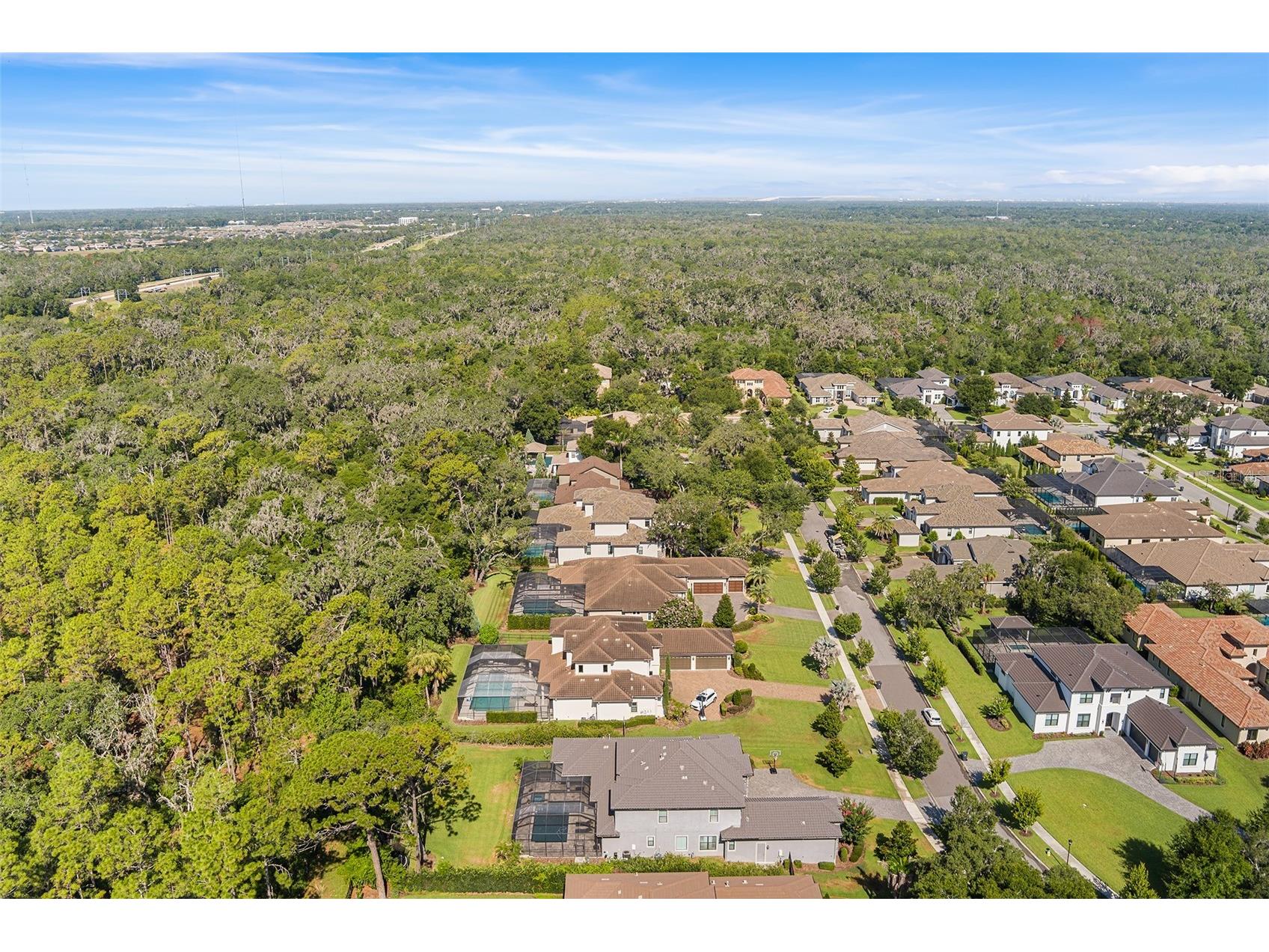 14704 Fishhawk Preserve Drive Lithia FL 33547 TB8522645 image67