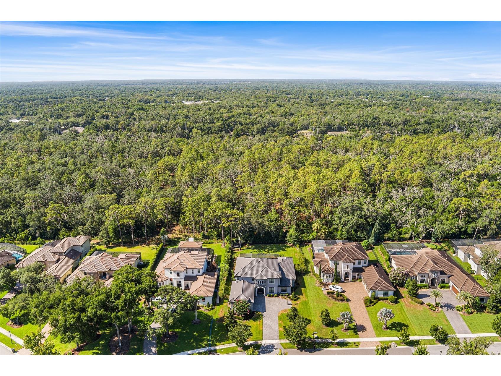 14704 Fishhawk Preserve Drive Lithia FL 33547 TB8522645 image68