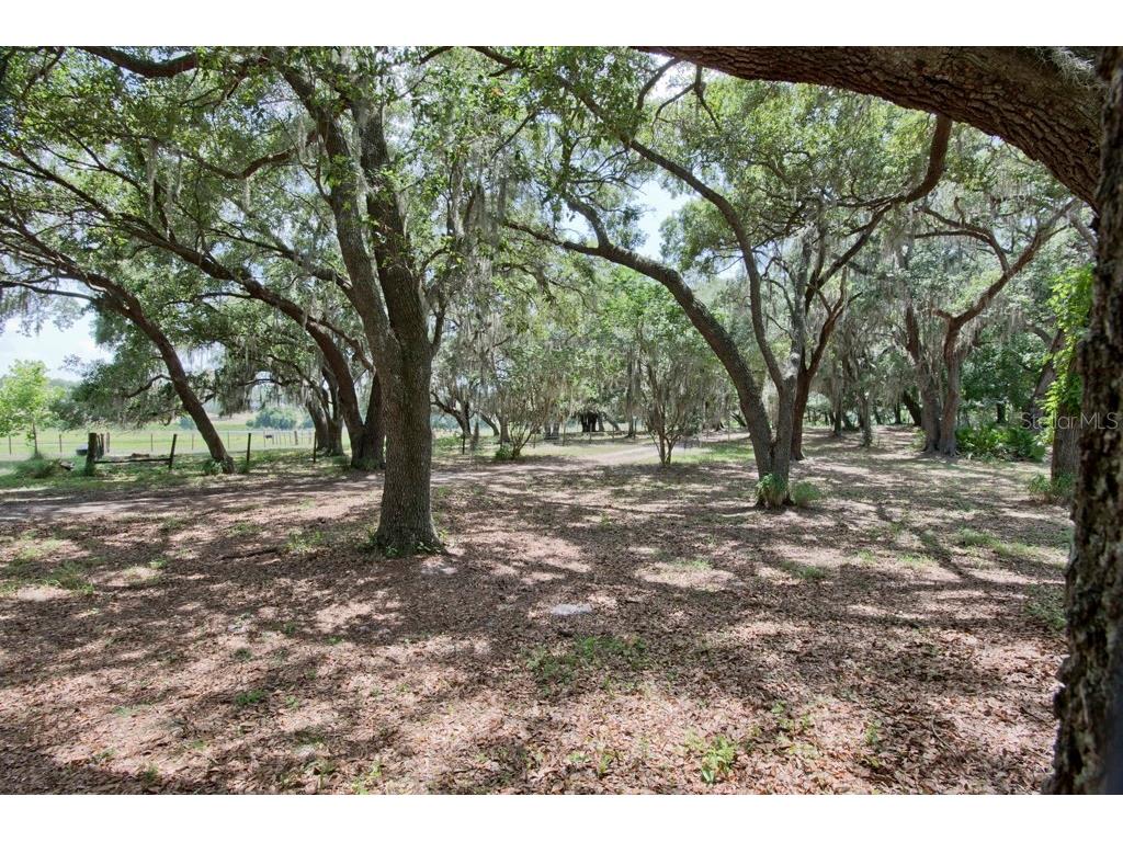 14704 Old Highway 50 Clermont FL 34711 G5056937 image10