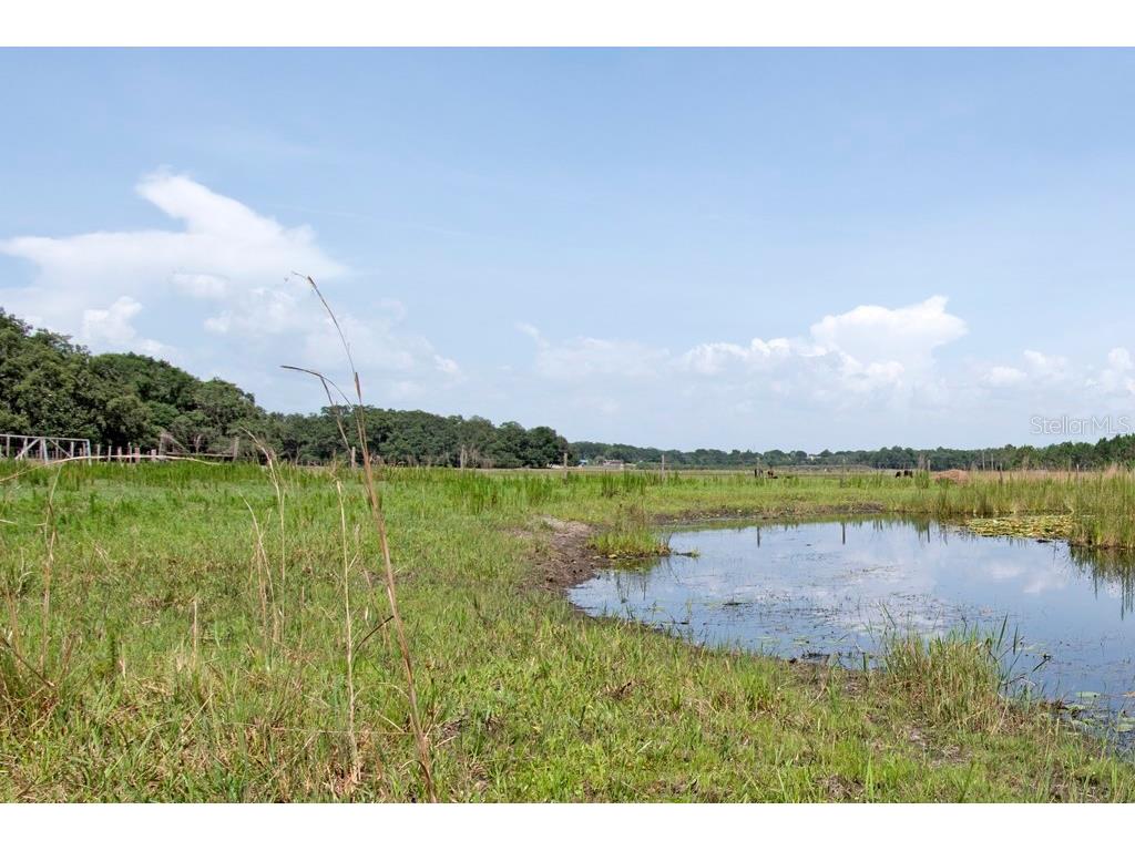 14704 Old Highway 50 Clermont FL 34711 G5056937 image12