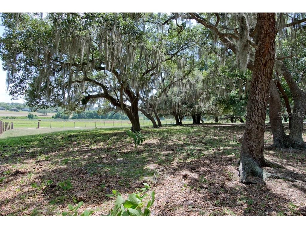 14704 Old Highway 50 Clermont FL 34711 G5056937 image17