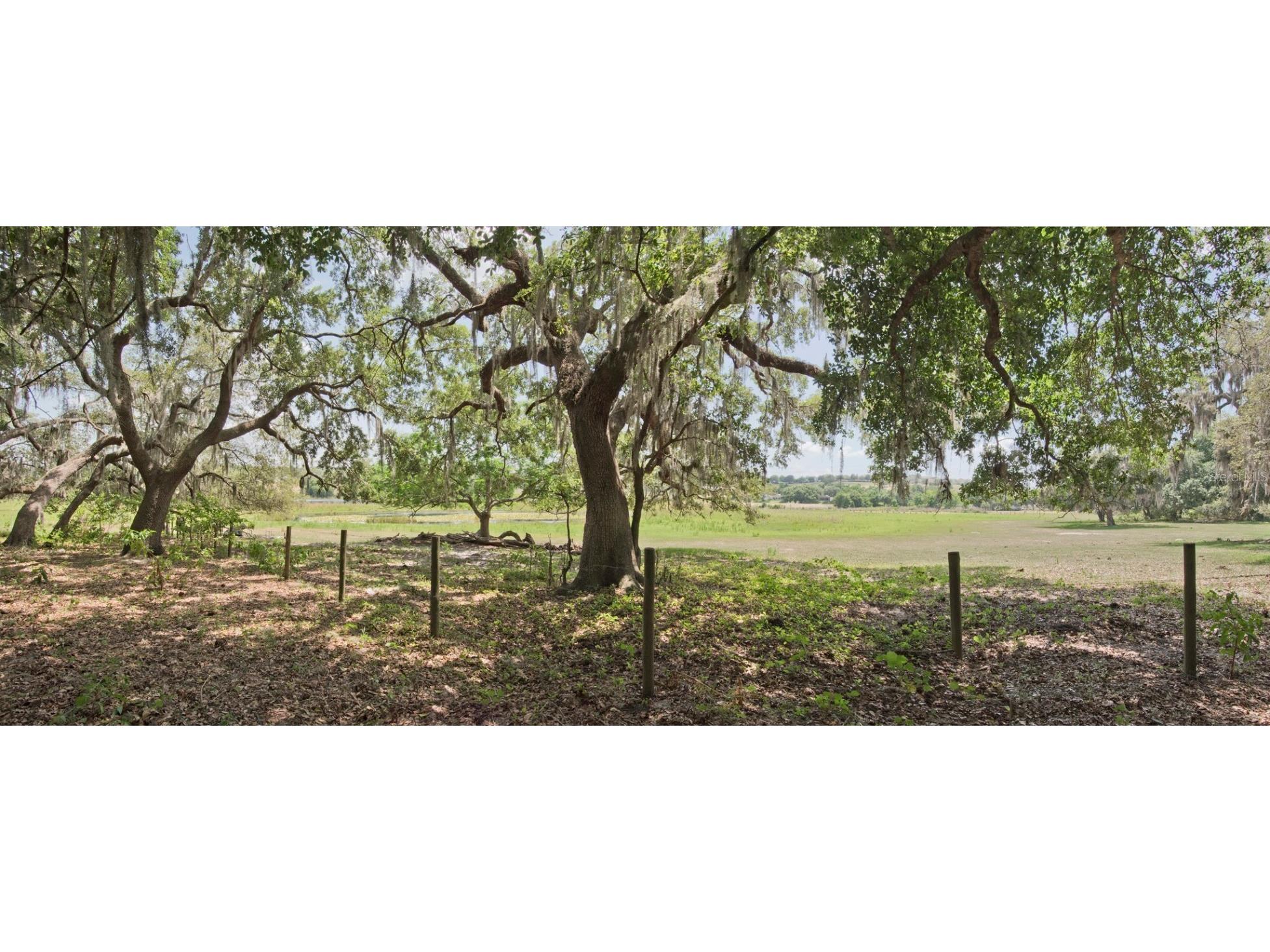 14704 Old Highway 50 Clermont FL 34711 G5056937 image18