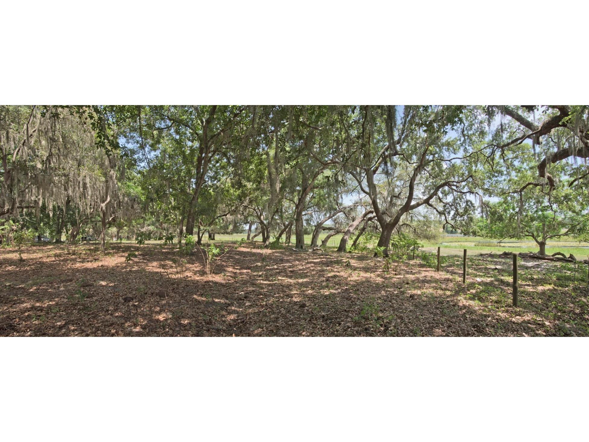 14704 Old Highway 50 Clermont FL 34711 G5056937 image19