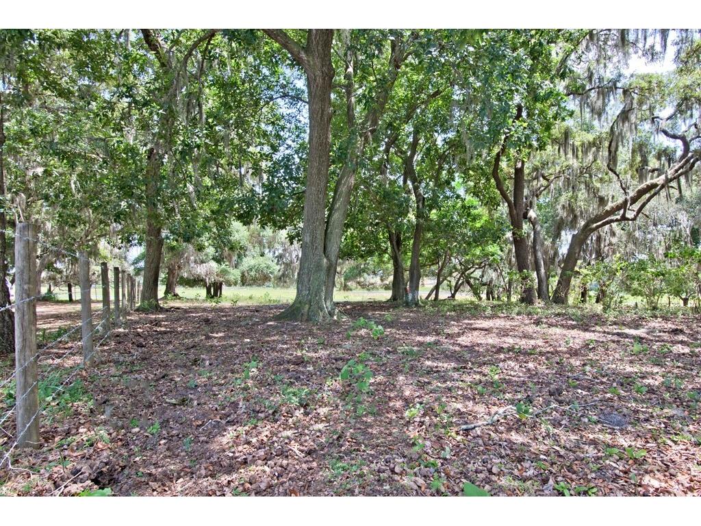 14704 Old Highway 50 Clermont FL 34711 G5056937 image6