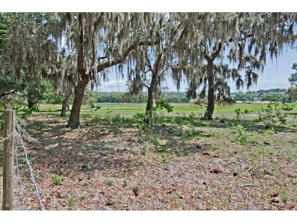 14704 Old Highway 50 Clermont FL 34711 G5056937 image7