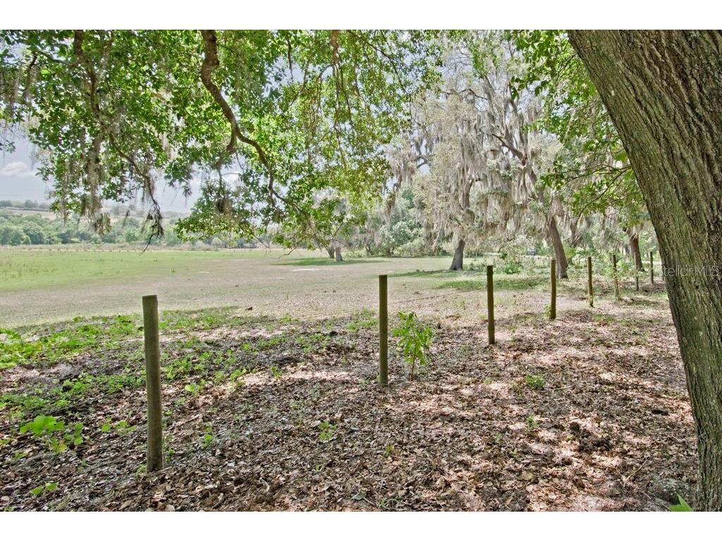 14704 Old Highway 50 Clermont FL 34711 G5056937 image8