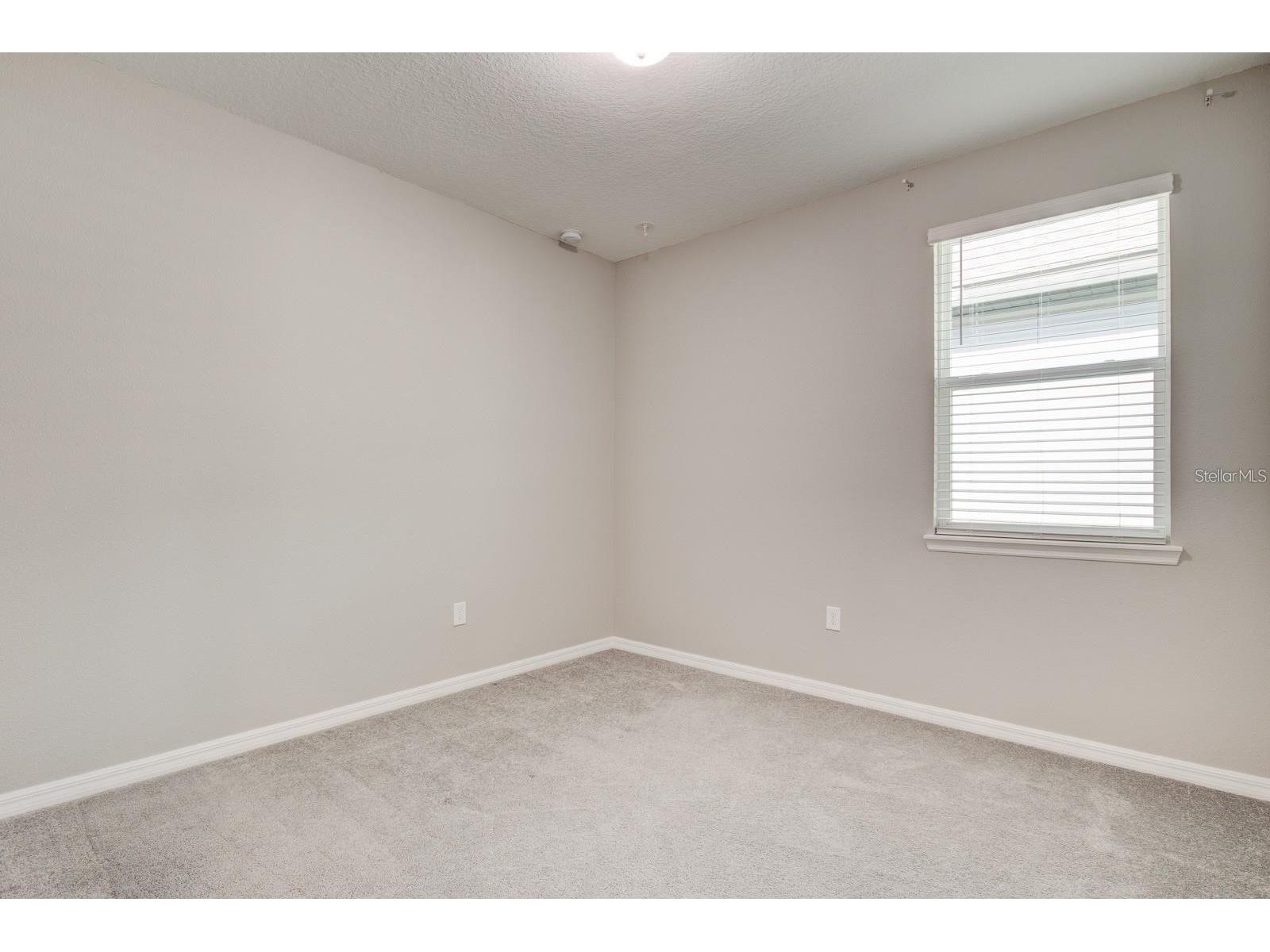 14704 Seton Creek Boulevard Winter Garden FL 34787 O6425472 image40