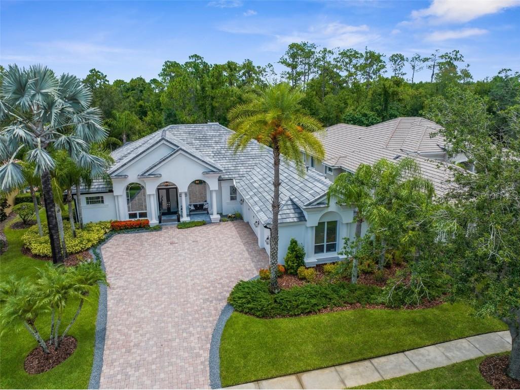 14705 Castelletto Drive Tampa FL 33626 TB8406136 image1