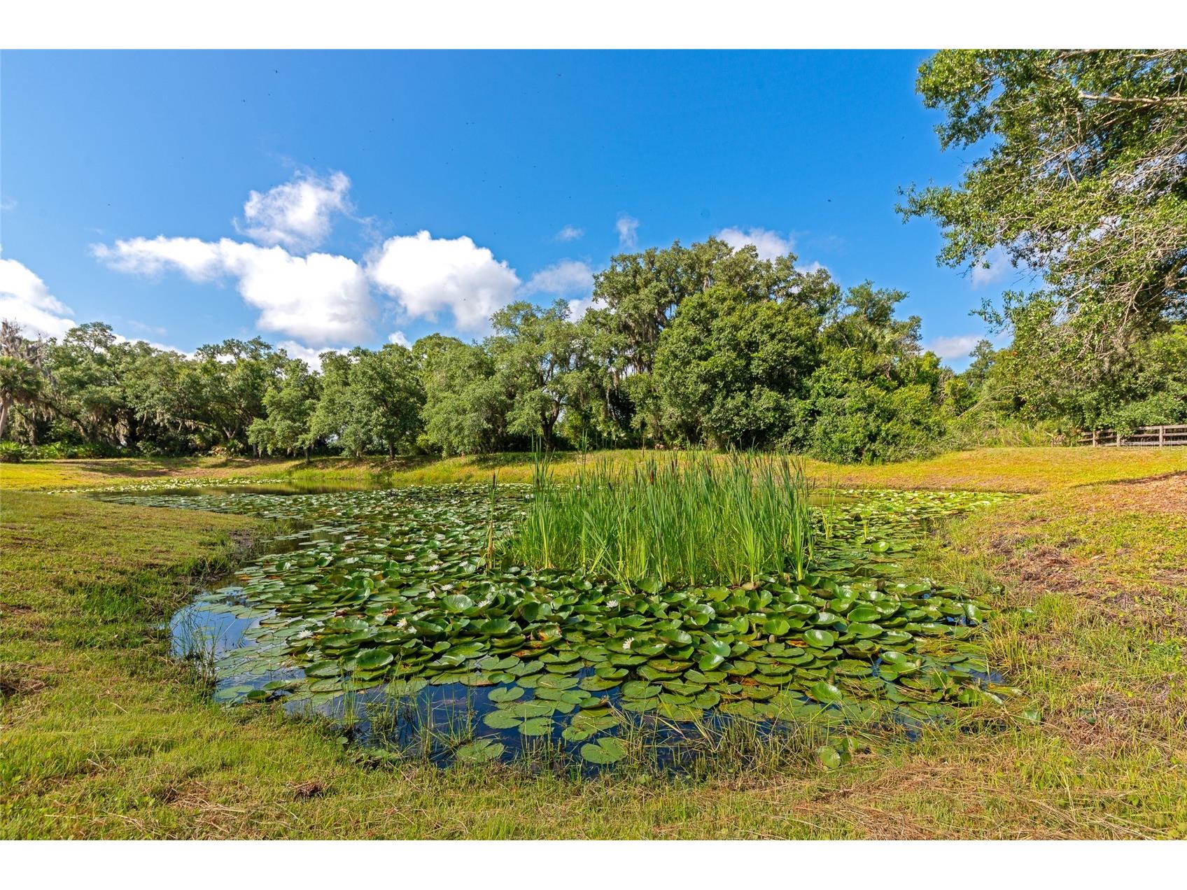 14705 Mossy Hammock Lane Myakka City FL 34251 A4694074 image44
